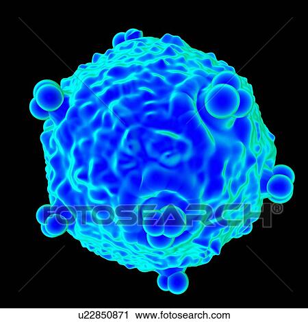 Clip Art - Human foamy virus (HFV), computer artwork.. Fotosearch