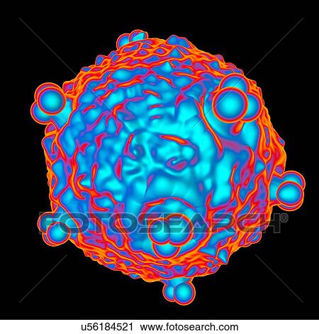 Clip Art - Human foamy virus (HFV), computer artwork.. Fotosearch