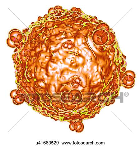 Human foamy virus (HFV), computer artwork. View Large Illustration Stock Illustration - Human foamy virus (HFV), computer artwork.. Fotosearch