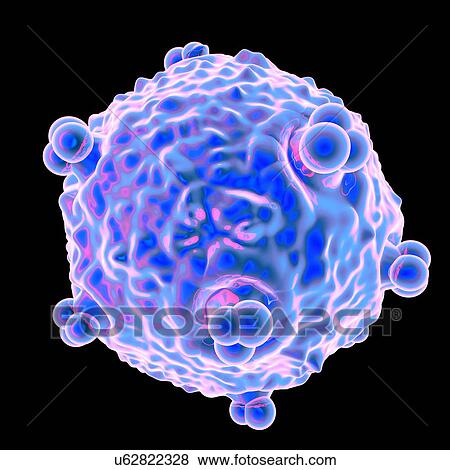 Stock Illustration - Human foamy virus (HFV), computer artwork.. Fotosearch