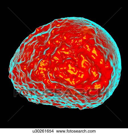 Ichnovirus, computer artwork. View Large Illustration Stock Illustration - Ichnovirus, computer artwork.. Fotosearch