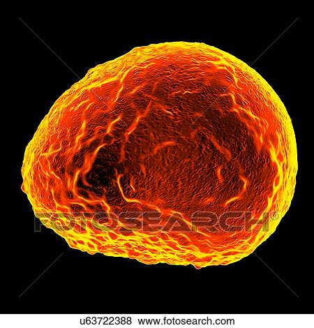 Ichnovirus, computer artwork. View Large Illustration Stock Illustration - Ichnovirus, computer artwork.. Fotosearch