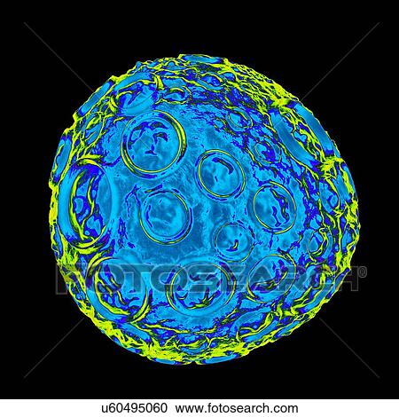 Clipart - Infectious salmon anaemia virus (ISA), computer artwork.. Fotosearch