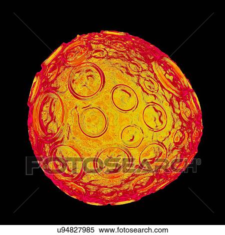 Infectious salmon anaemia virus (ISA), computer artwork. View Large Illustration Stock Illustration - Infectious salmon anaemia virus (ISA), computer artwork.. Fotosearch