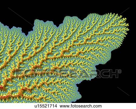 Mandelbrot fractal. Computer graphic showing a fractal image derived from the Mandelbrot Set. Fractals geometry is used to derive complex shapes as often occur in nature. View Large Illustration Stock Illustration - Mandelbrot fractal. Computer graphic showing a fractal image derived from the Mandelbrot Set. Fractals geometry is used to derive complex shapes as often occur in nature. . Fotosearch