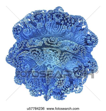 Stock Illustration - Mandelbulb fractal. Computer-generated image of a three-dimensional analogue derived form a Mandelbrot Set.. Fotosearch