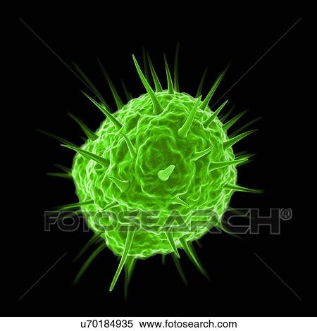 Stock Illustration - Mimivirus, computer artwork.. Fotosearch