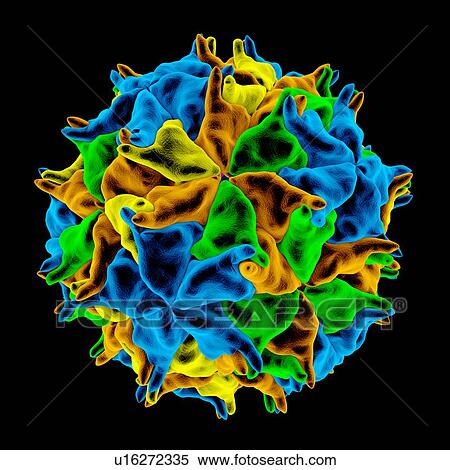 Nodamura virus, computer artwork. View Large Illustration Stock Illustration - Nodamura virus, computer artwork.. Fotosearch