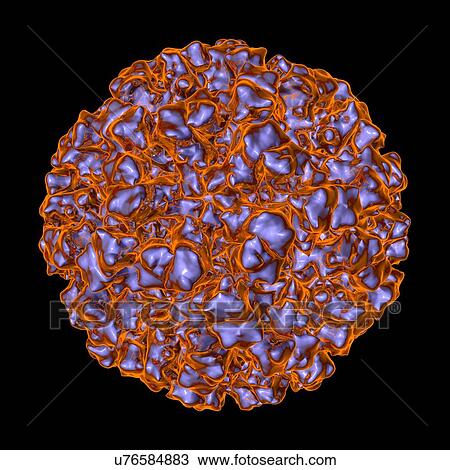 Norwalk virus, computer artwork. View Large Illustration Drawing - Norwalk virus, computer artwork.. Fotosearch