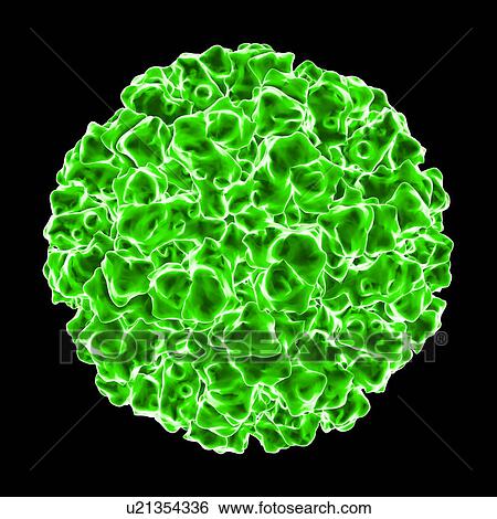 Norwalk virus, computer artwork. View Large Illustration Stock Illustration - Norwalk virus, computer artwork.. Fotosearch
