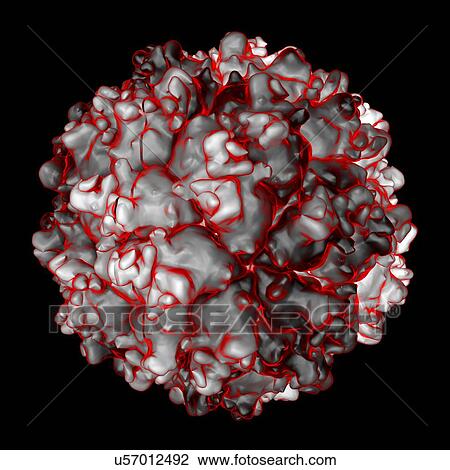 Drawing - Picobirnavirus, computer artwork.. Fotosearch