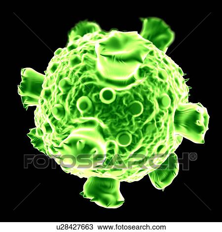 Reovirus, computer artwork. View Large Illustration Drawing - Reovirus, computer artwork.. Fotosearch