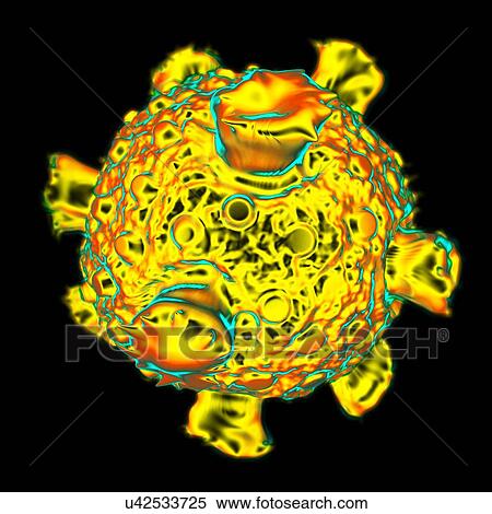 Reovirus, computer artwork. View Large Illustration Stock Illustration - Reovirus, computer artwork.. Fotosearch
