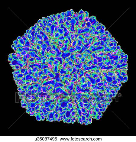 Stock Illustration - Rice dwarf virus (RDF), computer artwork.. Fotosearch