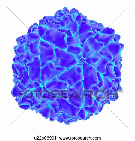 Rice yellow mottle virus, computer artwork. View Large Illustration Clip Art - Rice yellow mottle virus, computer artwork.. Fotosearch