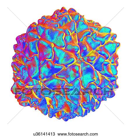 Drawing - Rice yellow mottle virus, computer artwork.. Fotosearch