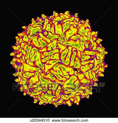 RNA hairpin virus, computer artwork. View Large Illustration Clipart - RNA hairpin virus, computer artwork.. Fotosearch