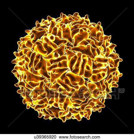 Clipart - RNA hairpin virus, computer artwork.. Fotosearch