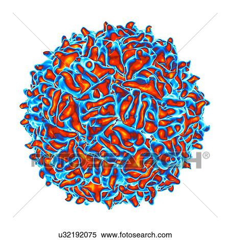 RNA hairpin virus, computer artwork. View Large Illustration Stock Illustration - RNA hairpin virus, computer artwork.. Fotosearch