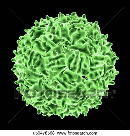 RNA hairpin virus, computer artwork. View Large Illustration Stock Illustration - RNA hairpin virus, computer artwork.. Fotosearch