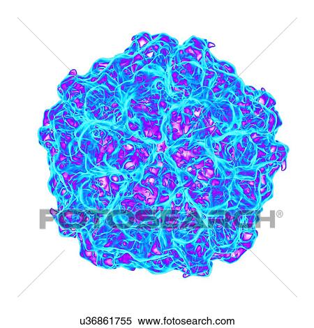 Stock Illustration - Satellite panicum mosaic virus, computer artwork.. Fotosearch