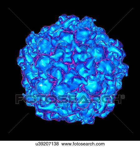 Satellite panicum mosaic virus, computer artwork. View Large Illustration Stock Illustration - Satellite panicum mosaic virus, computer artwork.. Fotosearch