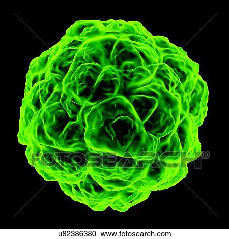 Satellite tobacco necrosis virus, computer artwork. View Large Illustration Clipart - Satellite tobacco necrosis virus, computer artwork.. Fotosearch