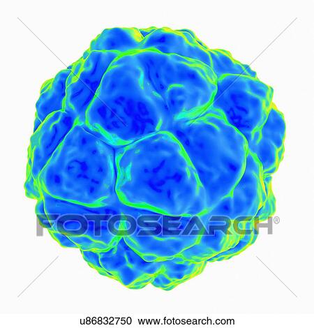 Clipart - Satellite tobacco necrosis virus, computer artwork.. Fotosearch