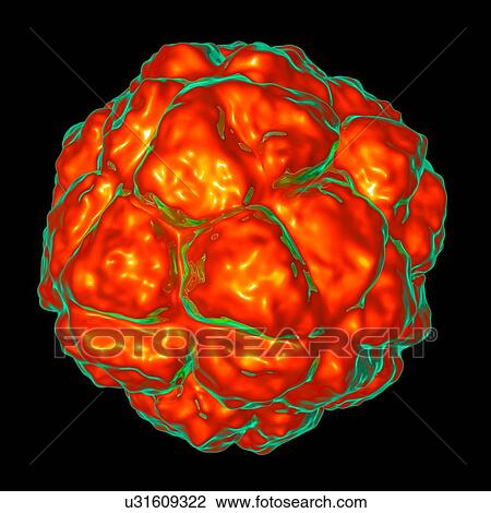 Satellite tobacco necrosis virus, computer artwork. View Large Illustration Drawing - Satellite tobacco necrosis virus, computer artwork.. Fotosearch