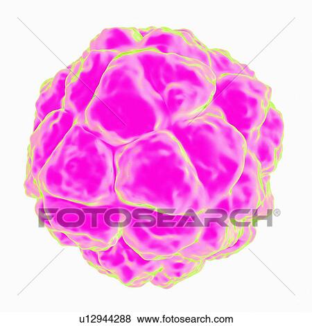 Satellite tobacco necrosis virus, computer artwork. View Large Illustration Stock Illustration - Satellite tobacco necrosis virus, computer artwork.. Fotosearch