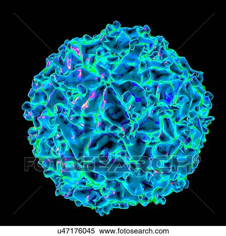 Seneca valley virus, computer artwork. View Large Illustration Stock Illustration - Seneca valley virus, computer artwork.. Fotosearch