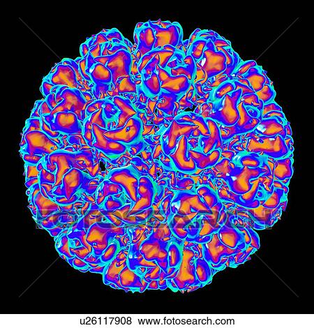 Simian virus 40, computer artwork. View Large Illustration Stock Illustration - Simian virus 40, computer artwork.. Fotosearch