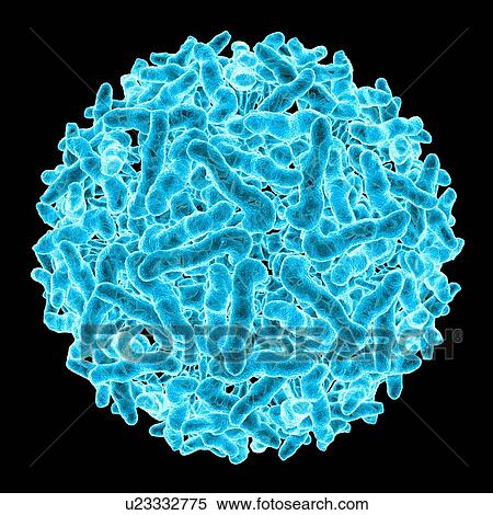 Stock Illustration - Sindbis virus, computer artwork.. Fotosearch