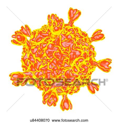 Smallpox virus, computer artwork. View Large Illustration Clipart - Smallpox virus, computer artwork.. Fotosearch