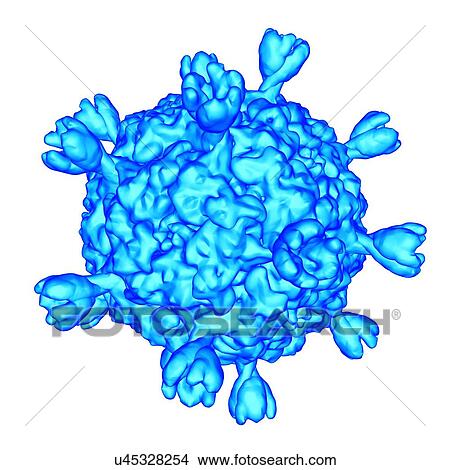 Smallpox virus, computer artwork. View Large Illustration Stock Illustration - Smallpox virus, computer artwork.. Fotosearch