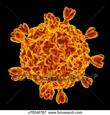Stock Illustration - Smallpox virus, computer artwork.. Fotosearch