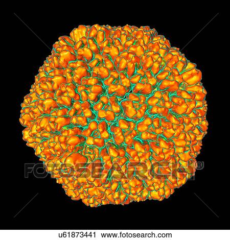 Sputnik virophage, computer artwork. View Large Illustration Clip Art - Sputnik virophage, computer artwork.. Fotosearch