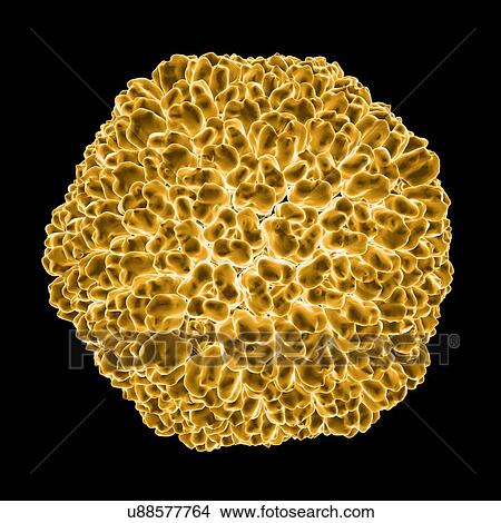 Stock Illustration - Sputnik virophage, computer artwork.. Fotosearch