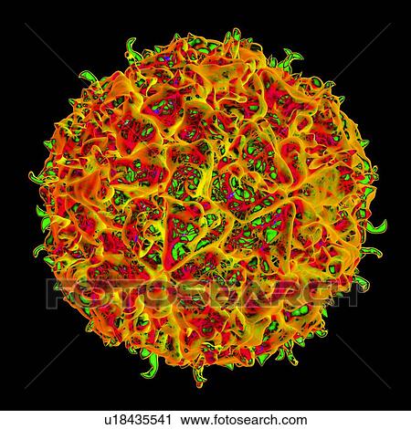 Theiler's murine encephalomyelitis virus, computer artwork. View Large Illustration Clip Art - Theiler's murine encephalomyelitis virus, computer artwork.. Fotosearch