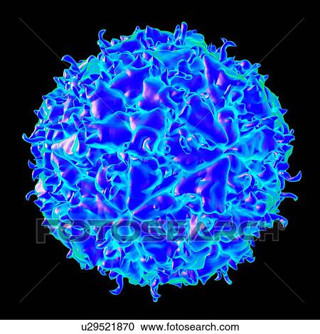 Clipart - Theiler's murine encephalomyelitis virus, computer artwork.. Fotosearch