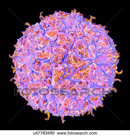 Clipart - Theiler's murine encephalomyelitis virus, computer artwork.. Fotosearch