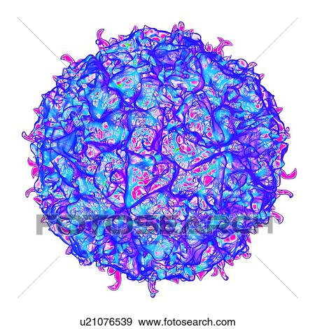 Stock Illustration - Theiler's murine encephalomyelitis virus, computer artwork.. Fotosearch