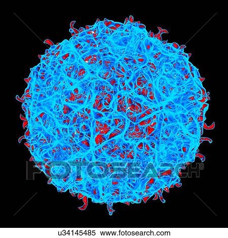 Stock Illustration - Theiler's murine encephalomyelitis virus, computer artwork.. Fotosearch