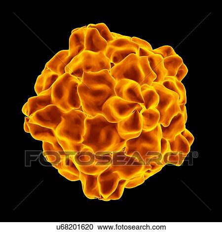 Tobacco ringspot virus, computer artwork. View Large Illustration Clipart - Tobacco ringspot virus, computer artwork.. Fotosearch