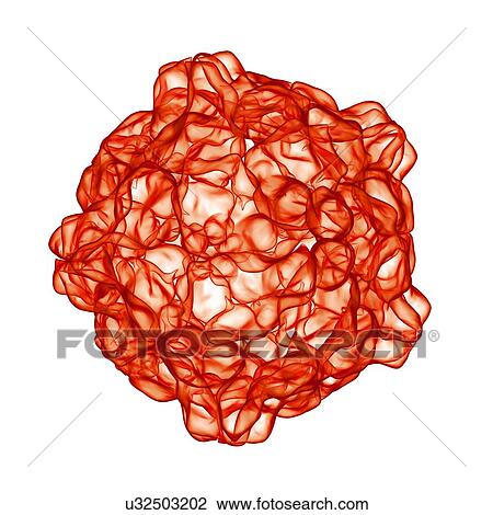 Drawing - Tobacco ringspot virus, computer artwork.. Fotosearch