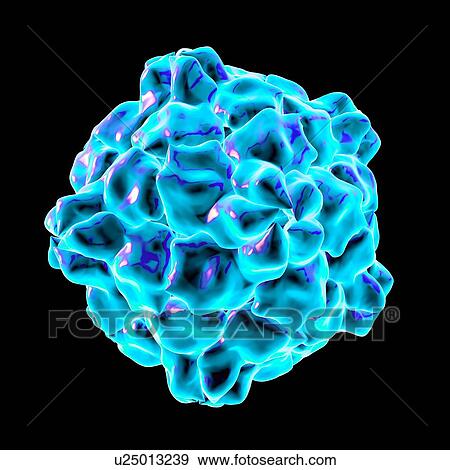 Tobacco ringspot virus, computer artwork. View Large Illustration Stock Illustration - Tobacco ringspot virus, computer artwork.. Fotosearch