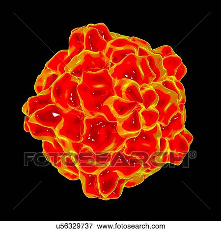 Tobacco ringspot virus, computer artwork. View Large Illustration Stock Illustration - Tobacco ringspot virus, computer artwork.. Fotosearch