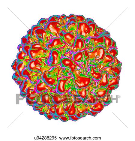 Stock Illustration - Tomato aspermy virus, computer artwork.. Fotosearch