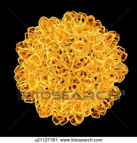 Clip Art - Tomato bushy stunt virus, computer artwork.. Fotosearch