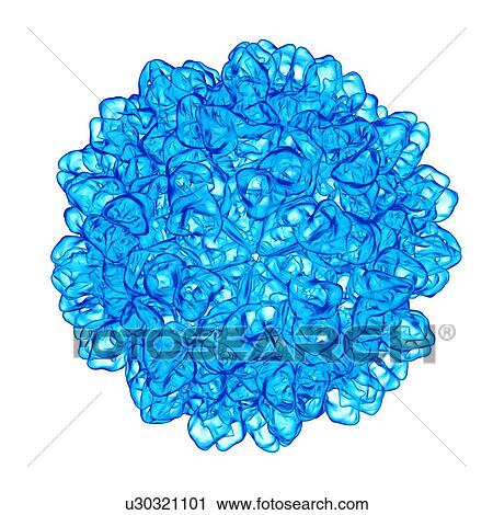 Tomato bushy stunt virus, computer artwork. View Large Illustration Clip Art - Tomato bushy stunt virus, computer artwork.. Fotosearch